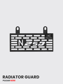 BAJAJ PULSAR N 250 RADIATOR GUARD - RD 929